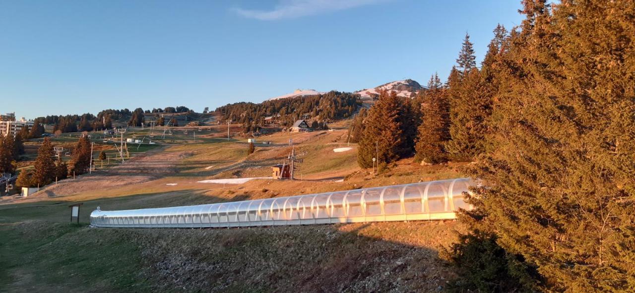 Studio Aux Pieds Des Pistes Roche Beranger Chamrousse Dış mekan fotoğraf