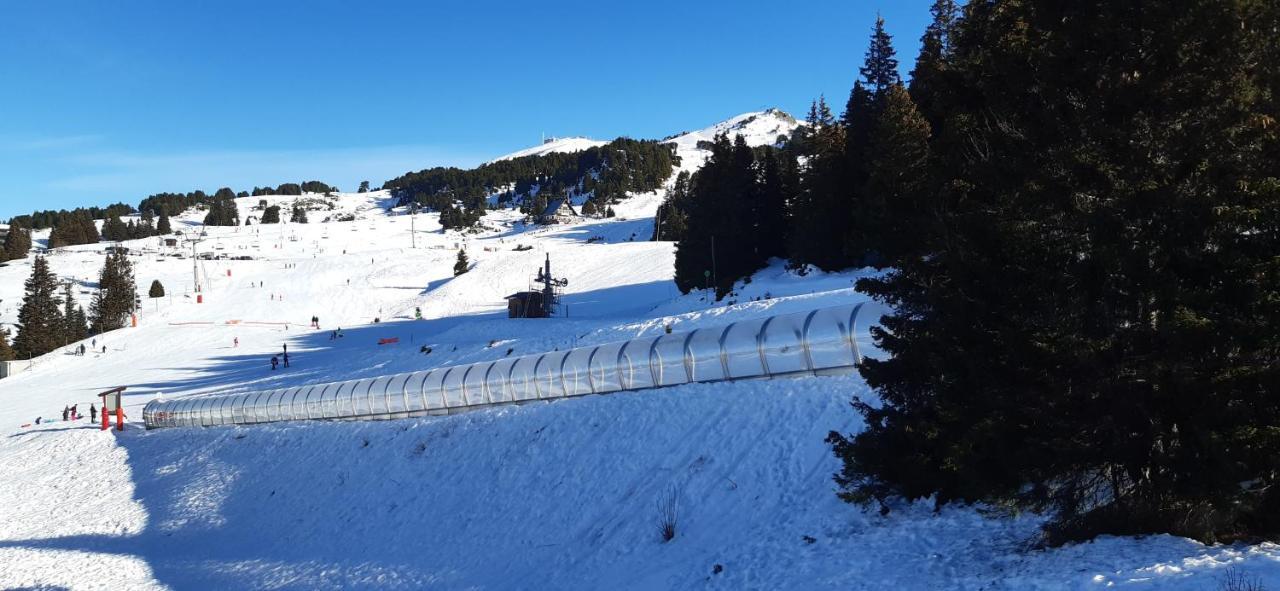 Studio Aux Pieds Des Pistes Roche Beranger Chamrousse Dış mekan fotoğraf