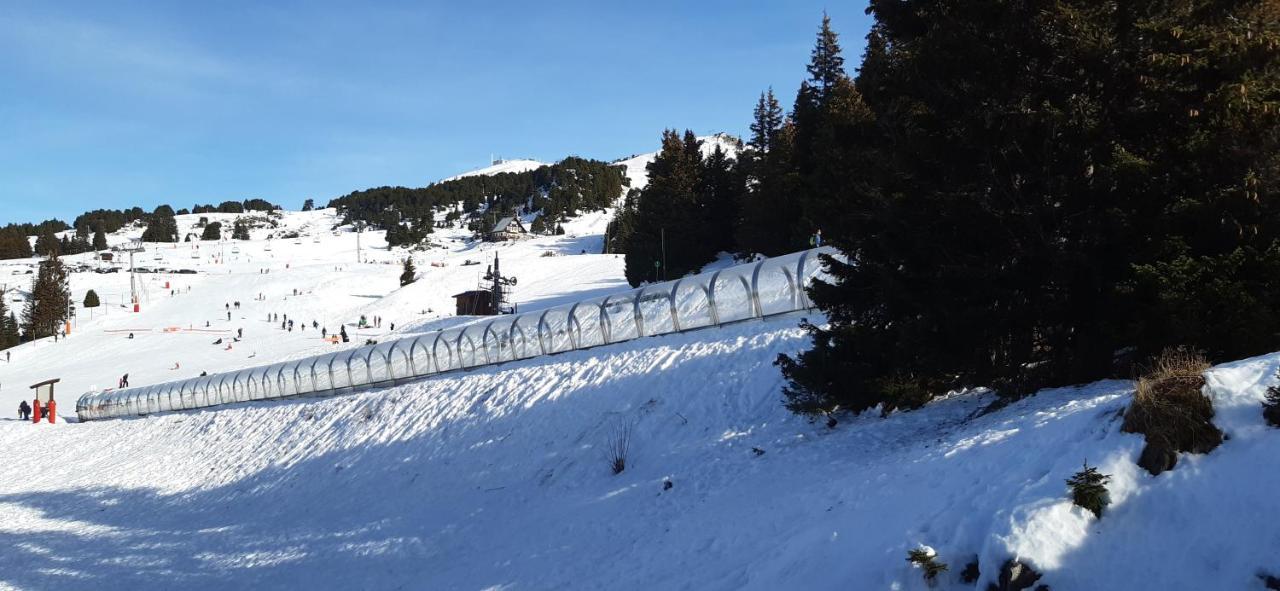 Studio Aux Pieds Des Pistes Roche Beranger Chamrousse Dış mekan fotoğraf