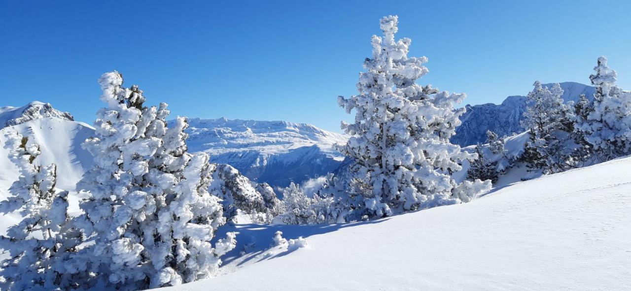 Studio Aux Pieds Des Pistes Roche Beranger Chamrousse Dış mekan fotoğraf